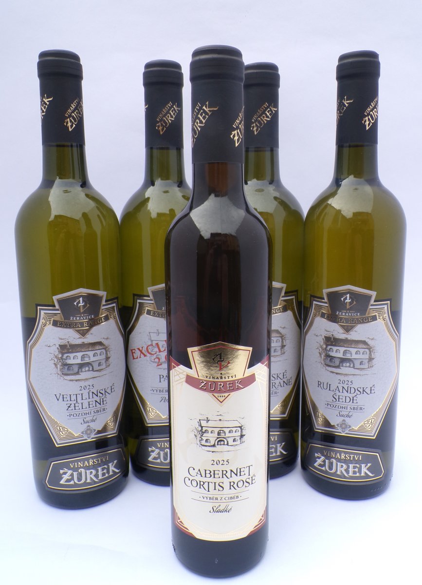 ROČNÍK 2025 FINIŠUJE